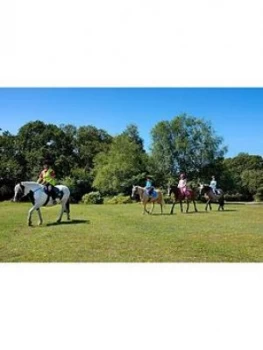 image of Virgin Experience Days Introduction To Horse Riding For Two In The New Forest, Hampshire