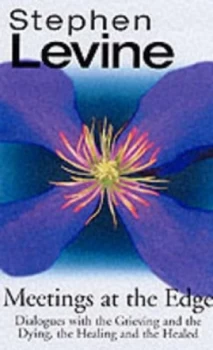 Image of Meetings at the Edge by Stephen Levine Book
