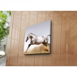 Image of 4545NAT-17 Multicolor Decorative Canvas Painting
