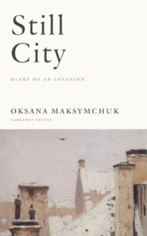 Image of Still City : A Diary of an Invasion Paperback / softback