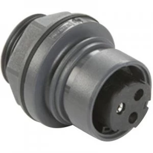 Image of Bulgin PXP601222PCR Bullet connector Plug mount Series connectors PXP Total number of pins 22