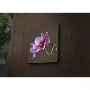 Image of 4040?ACT-44 Multicolor Decorative LED Lighted Canvas Painting
