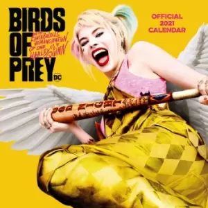 image of Birds of Prey Calendar 2021 *English Version*