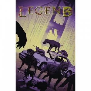 Image of Legend (Paperback, 2016)