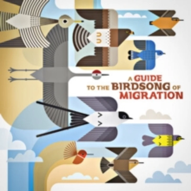 Image of A guide to the birdsong of migration CD / Album