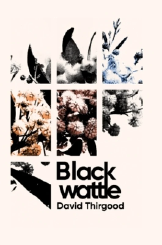 Image of Blackwattle. Paperback. By David Thirgood Books