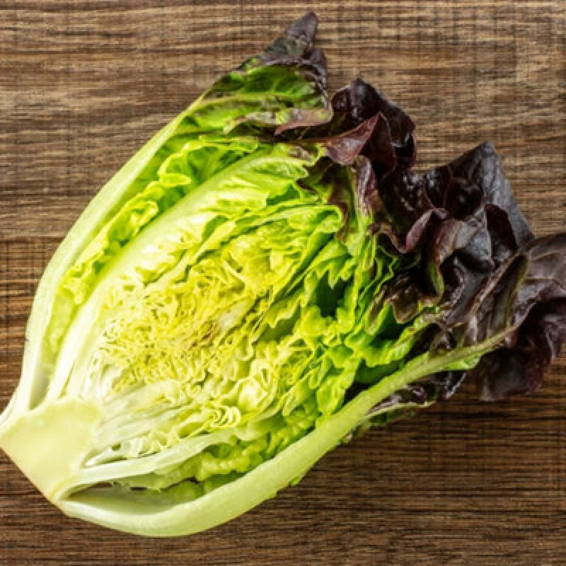 Image of Thompson & Morgan Lettuce Amaze Red Little Gem Salad Seeds - Compact Disease-Resistant Container Friendly - 100 Seeds