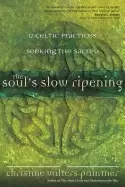 Image of souls slow ripening 12 celtic practices for seeking the sacred