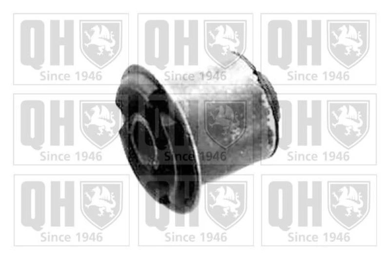Image of QUINTON HAZELL Trailing arm / Suspension arm bush QUINTON HAZELL EMS2205
