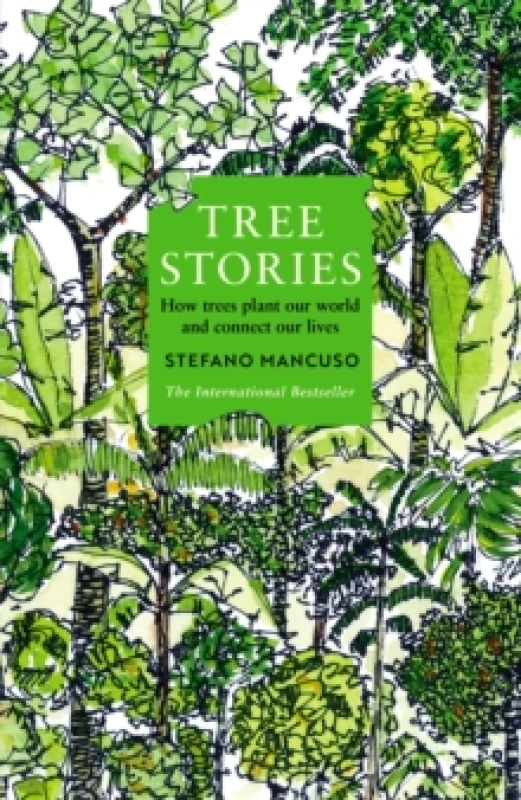 Image of Tree Stories : How trees plant our world and connect our lives Paperback / softback