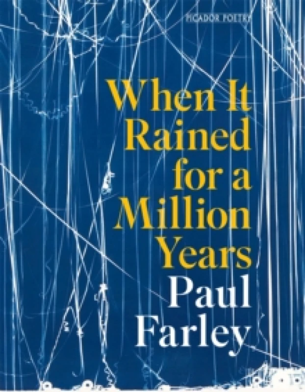 Image of When It Rained for a Million Years. Paperback. By Paul Farley Books