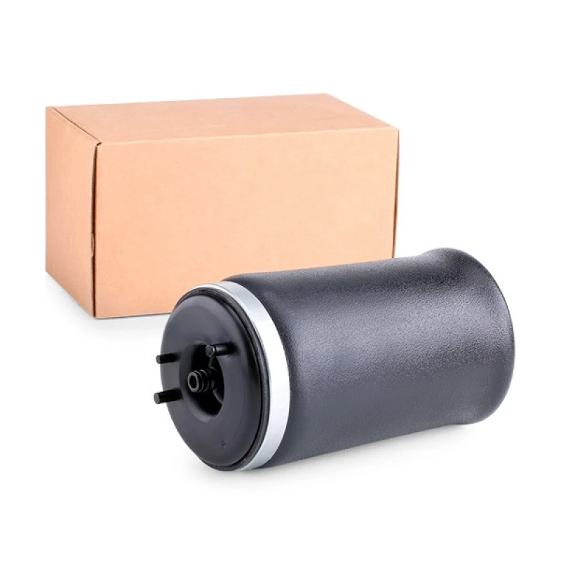 Image of Air Spring, suspension RIDEX 4119A0010