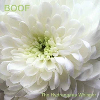 Image of Boof - Hydrangeas Whisper CD