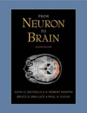 Image of from neuron to brain a cellular and molecular approach to the function of t