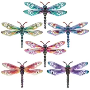 Image of Colourful Dragonfly Small