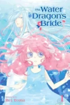 Image of water dragons bride vol 1