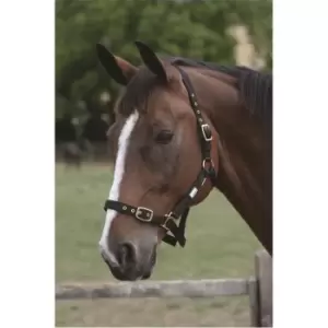 image of Roma Adjustable Headcollar - Black