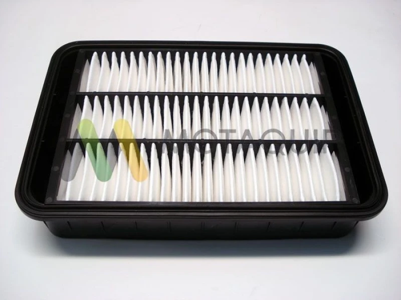 Image of MOTAQUIP Air filter MOTAQUIP LVFA1452