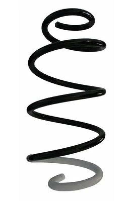 Image of Coil spring SPIDAN 87409