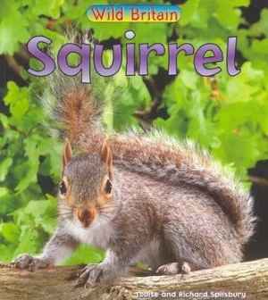 Image of Squirrel by Louise Spilsbury and Richard Spilsbury Paperback