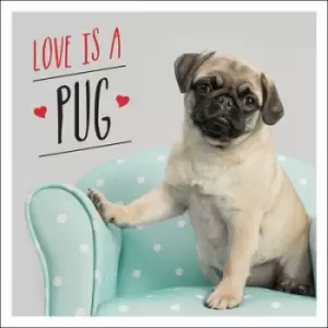 Image of Love is a pug by Charlie Ellis