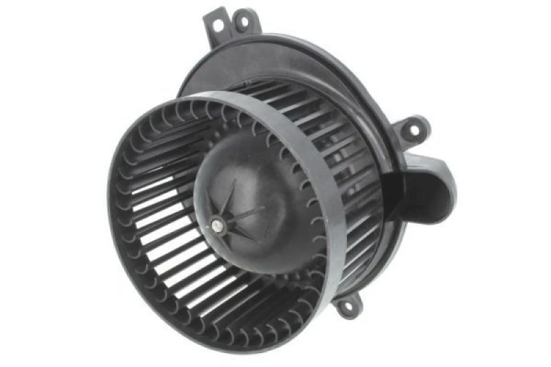 Image of THERMOTEC Blower motor THERMOTEC DD3001TT