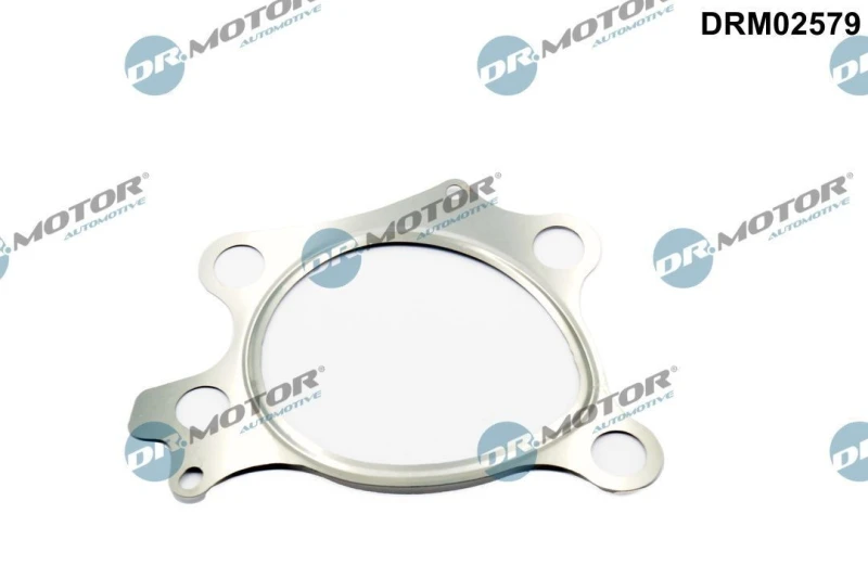 Image of DR.MOTOR AUTOMOTIVE Exhaust pipe gasket DR.MOTOR AUTOMOTIVE DRM02579