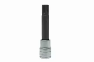 Image of Teng Tools M122713-C 1/2" Drive - Ribe Socket Bit - Size: 13