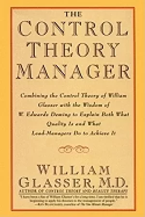Image of control theory manager