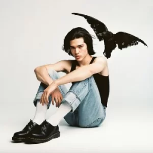 Image of Kid Krow by Conan Gray CD Album