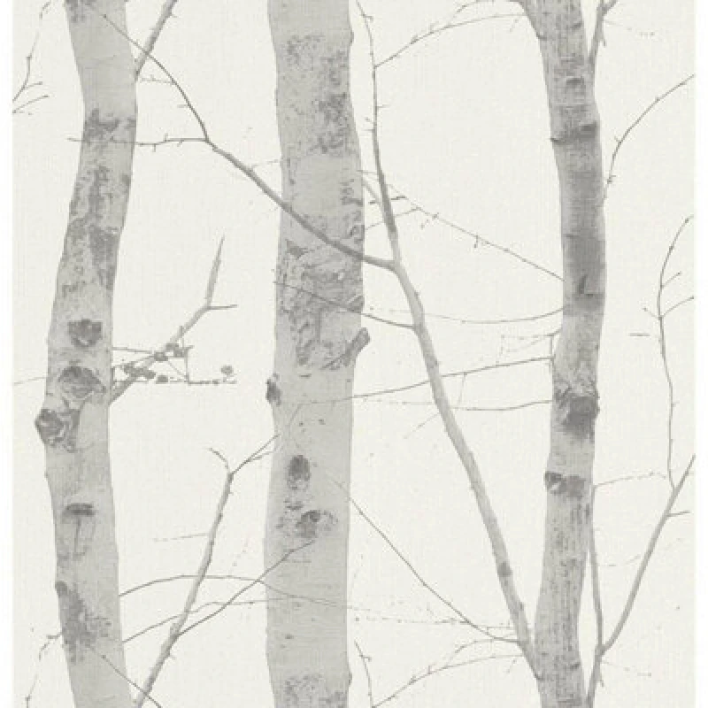 Image of Erismann Paradisio Birch Tree Silver & Grey Wallpaper 6305-10