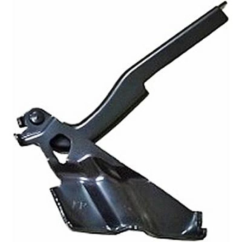 Image of Hinge, bonnet DIEDERICHS 5645018
