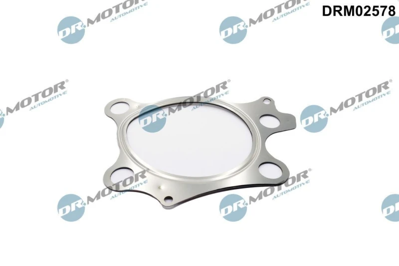 Image of DR.MOTOR AUTOMOTIVE Exhaust pipe gasket DR.MOTOR AUTOMOTIVE DRM02578