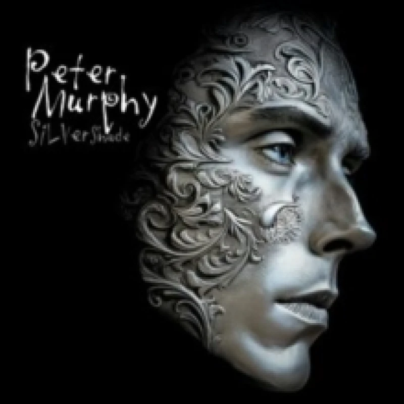 Image of Silver Shade Vinyl