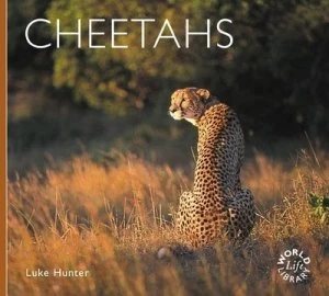 Image of Cheetahs by Luke Hunter Paperback