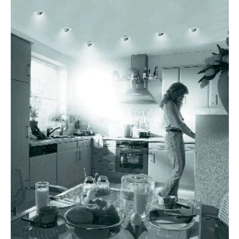 Image of Paulmann Paulmann 17953 Premium Recess-mount bracket HV halogen GU5.3 50 W White 17953