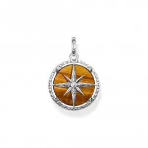 Rebel At Heart Tiger's Eye Compass Pendant PE833-826-2