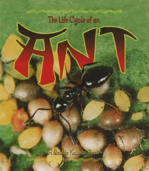 Image of Life Cycle of an Ant by Hadley Dyer Paperback