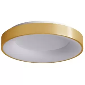 image of Netlighting Modern LED Flush Ceiling Light Brushed Gold, Warm White 3000K 2750lm