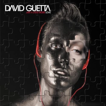 Image of David Guetta - Just A Little More Love Vinyl