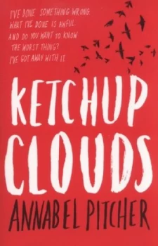 Image of Ketchup Clouds by Annabel Pitcher Paperback