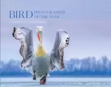 Image of Bird Photographer of the Year : Collection 4