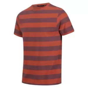 Image of Regatta Ryeden Striped Tshirt - BkCly/DkDnSt