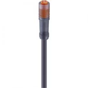 Image of Lumberg Automation 44584 RKM 4 2252 M Actuator Sensor Connection Line M8 Socket Straight Black