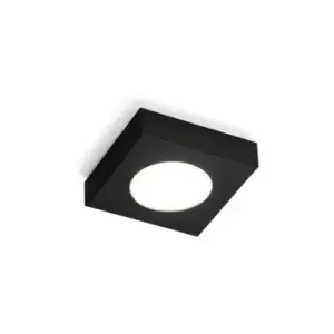 Image of Kolarz CLICK - Surface Mounted Spotlight Black Matt, 1x GX53