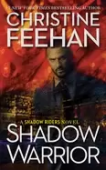Image of shadow warrior