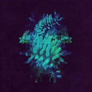 Image of All Glows by Fakear CD Album