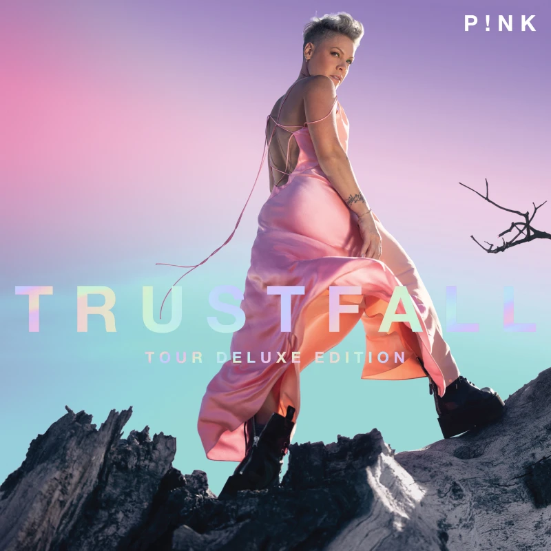 Image of P!nk - Trustfall [CD / Album] Music CDs - Music CD