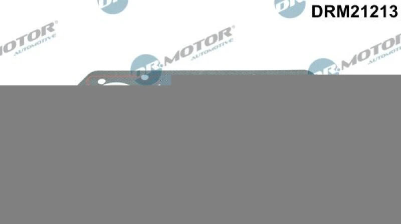 Image of DR.MOTOR AUTOMOTIVE Gasket Set, cylinder head DR.MOTOR AUTOMOTIVE DRM21213