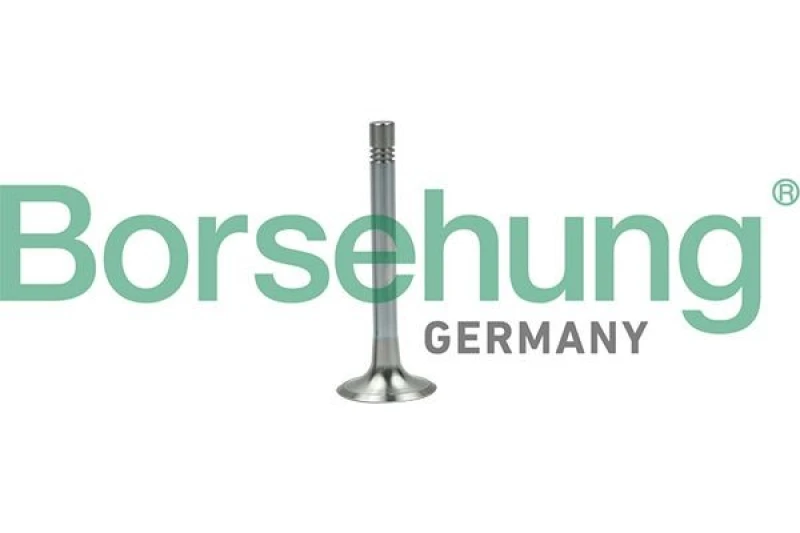 Image of Borsehung Exhaust valve Borsehung B19003
